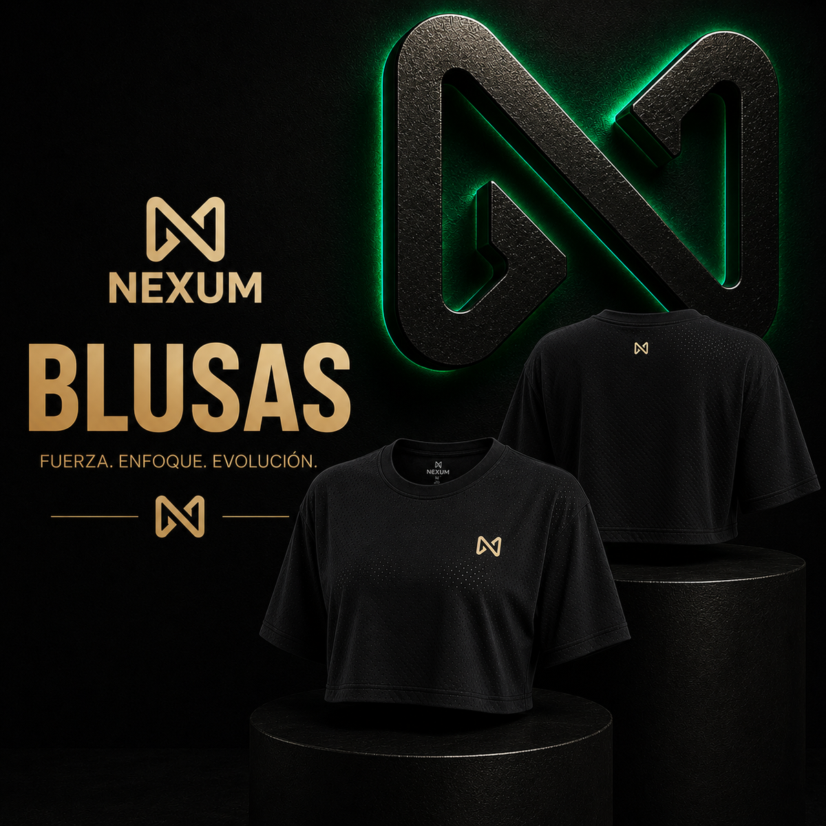 Blusa